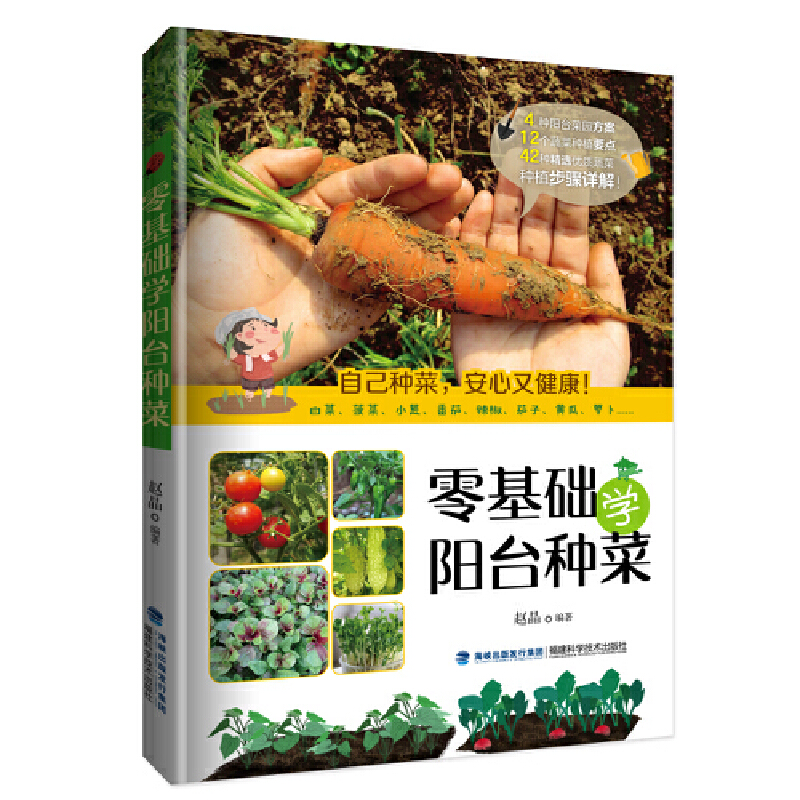 零基础学阳台种菜 赵晶 阳台种菜技巧入门 阳台菜园子设计 家庭蔬菜园艺书 阳台种菜教学 病虫害园艺书 常见蔬菜栽培种植技术
