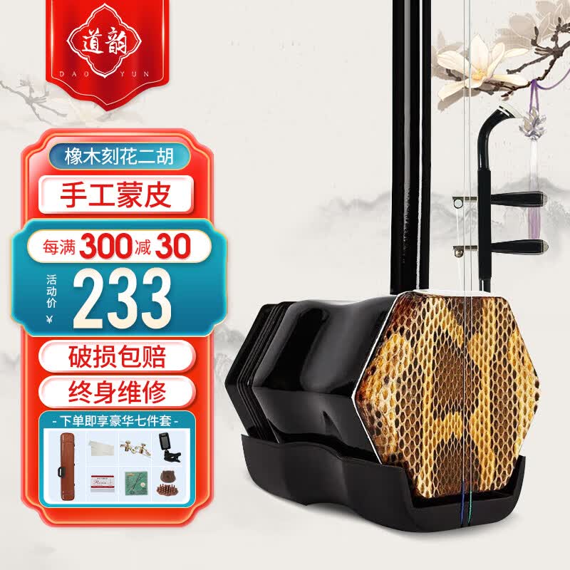 道韵二胡乐器橡木铜轴二胡琴初学者入门演奏专业成人儿童考级属于什么档次？