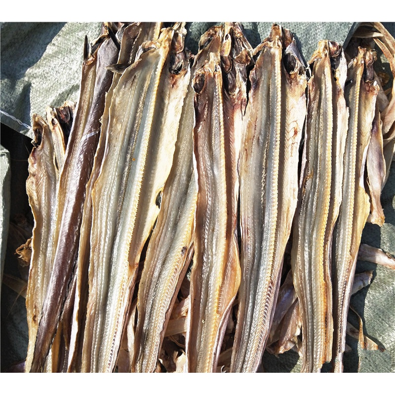 北海特产自晒生淡干小海鳗鱼鳗鱼干鳝鱼干海鱼干货500克 500g