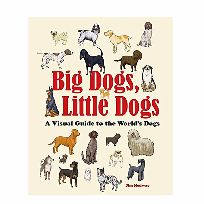 【现货】big dogs,little dogs 大狗和小狗 动物认知绘本 6-12岁
