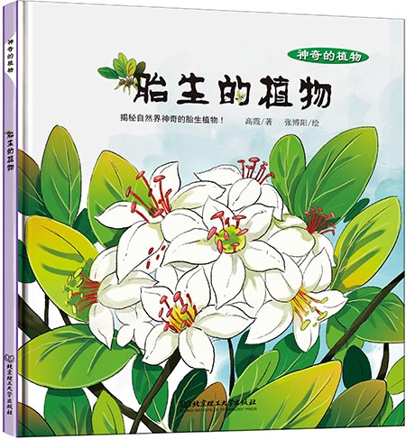 神奇的植物:胎生的植物
