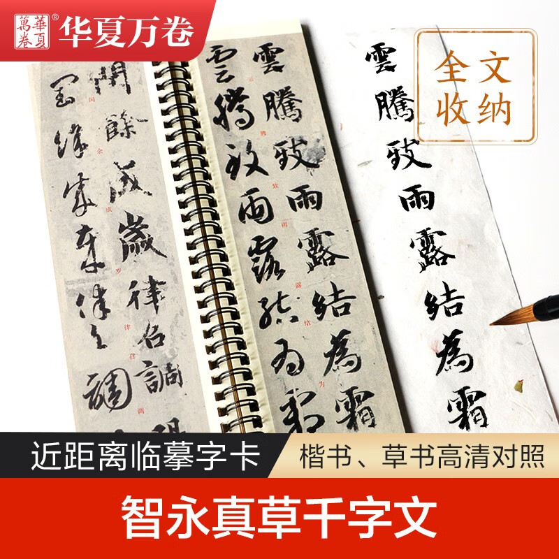智永真草千字文 近距离临摹字卡 楷书草书对照碑帖 全文收录毛笔临帖卡 书法练字帖附简体旁注 华夏万卷