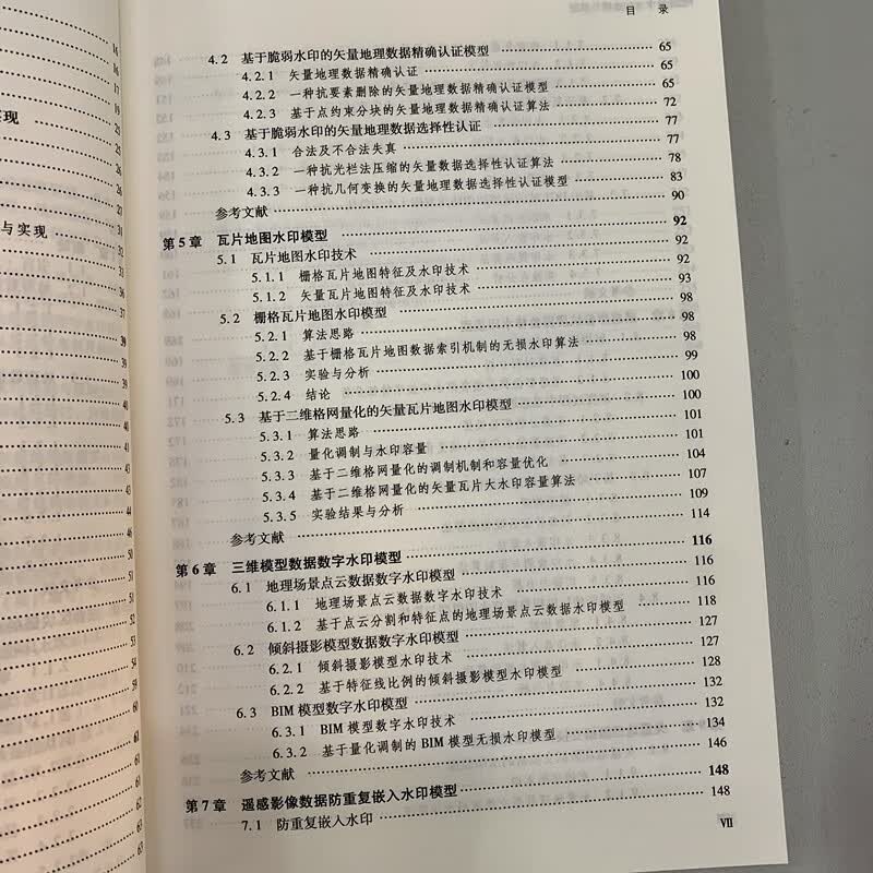 地理数据数字水印建模与原理详情图