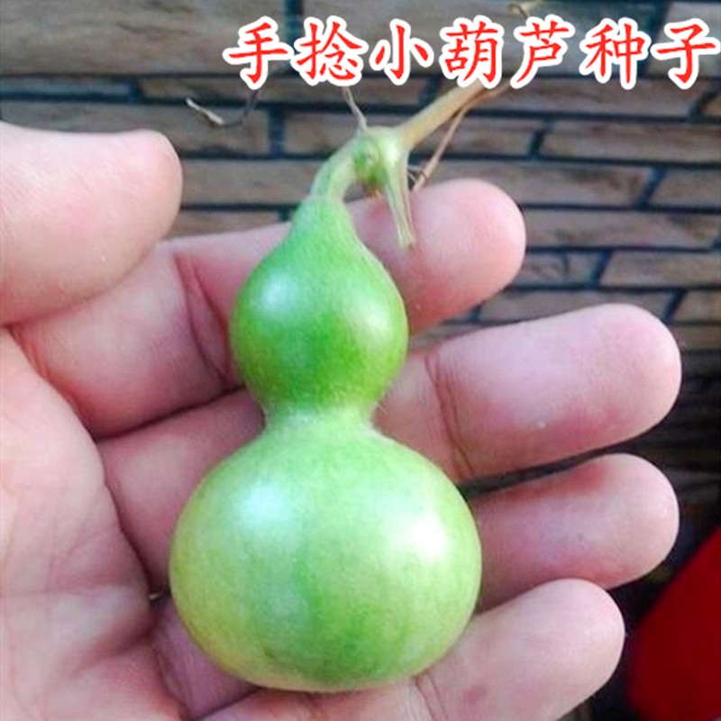 蔬菜类历史价格查询小程序|蔬菜类价格历史