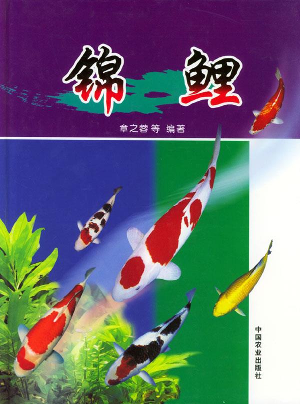 锦鲤【上新】