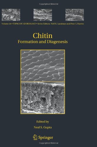 预订 Chitin