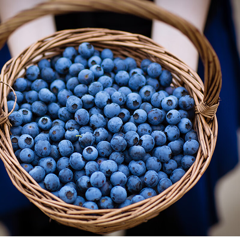 榴小橔云南蓝莓超大果新鲜高山蓝莓水果送礼年货节 精选特大果 精选125g*4盒（15-18mm)