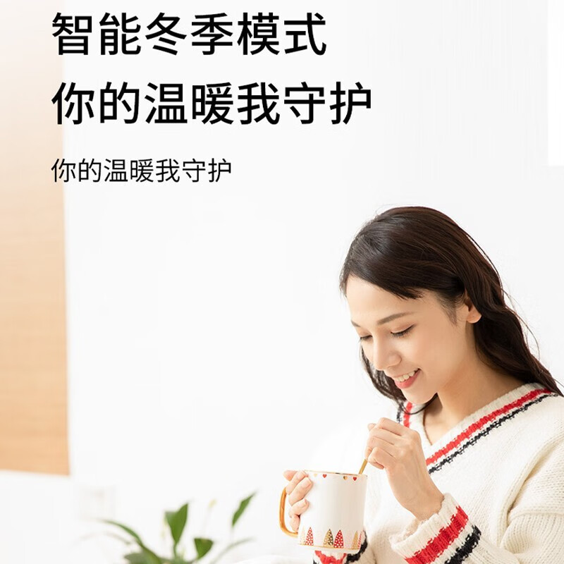 西屋（Westinghouse）即热式饮水机 小型台式即热饮水机家用 智能恒温电水壶 桌面茶吧机 冲奶机WFH30-W4