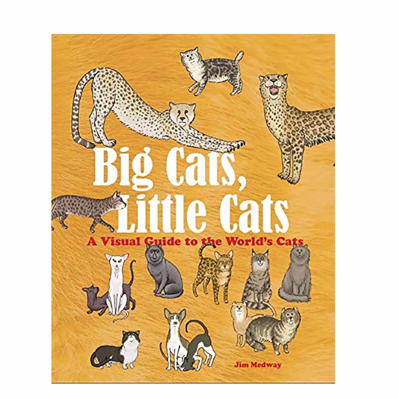 【现货】big cats,little cats,大猫和小猫 动物认知绘本 6-12岁善本