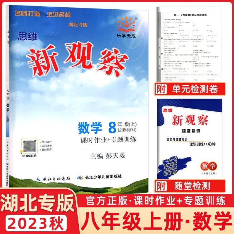 【湖北专版】2023秋新版 新观察八年级数学上册课时作业+专题训练8年级上册数学教材同步练习册思维新观察随堂检测