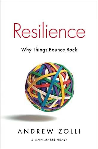 预订 resilience: why things bounce back