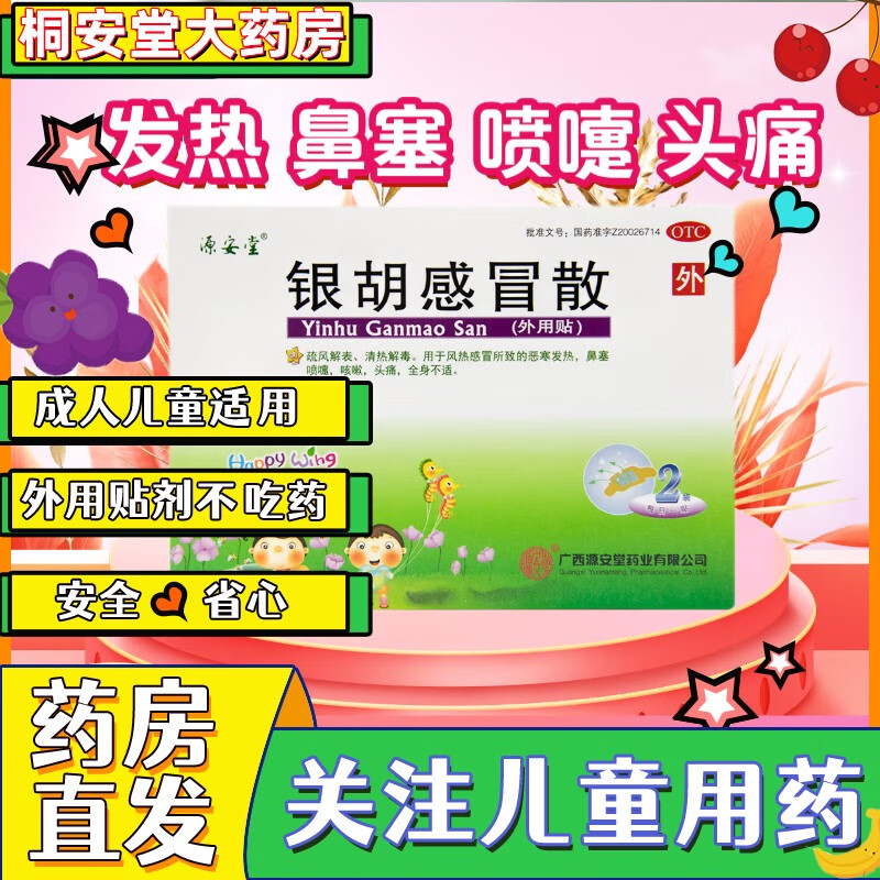 源安堂 银胡感冒散贴 2.2g:0.