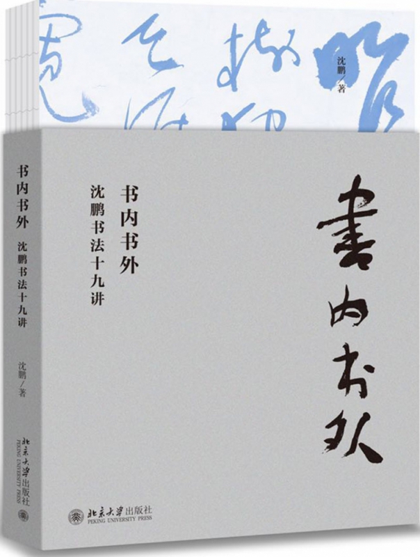书内书外(沈鹏书法十九讲)
