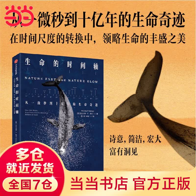 生命的时间轴