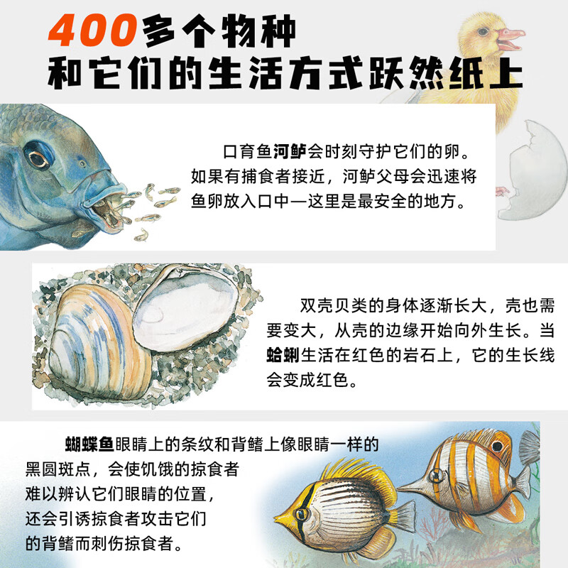 生命的故事 手绘版 400多物种80张翻页 动物世界昆虫朋友大百科自然科学科普绘本自然启蒙全书 3-8岁幼儿园儿童小学生课外阅读