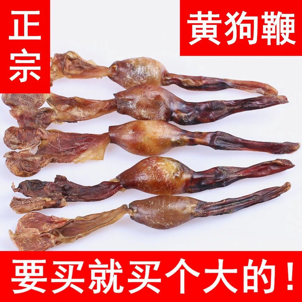 泡酒药材持丨久 增丨大增丨粗黄狗鞭 黄狗肾 泡酒鞭 新鲜 狗鞭8·克一