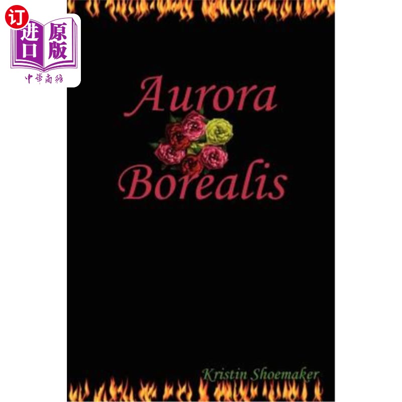 海外直订aurora borealis 北极光