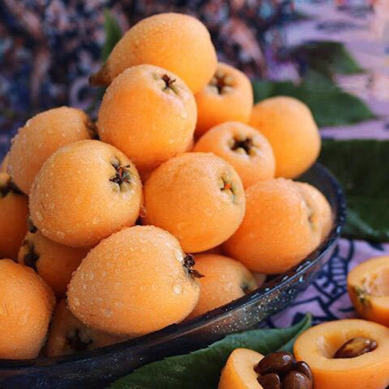 京蚨鲜四川攀枝花米易枇杷 甜枇杷琵琶新鲜水果礼盒 净重 5斤 特大果【40-50克】