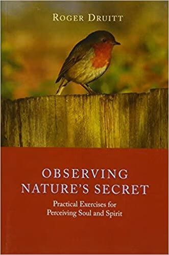 预订 observing natures secret: practical exercises for