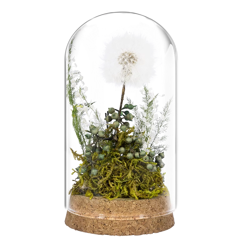 õ������ѹ�Ӣ���������3.8���˸�Ů�������������Ů������Ա���߼���