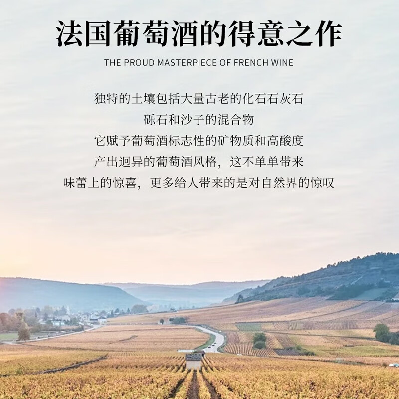 路易拉菲(LOUIS LAFON)法国原酒进口红酒整箱赤霞珠VIN128干红葡萄酒750ml*6七夕送礼盒