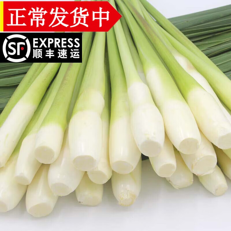 新鲜茭白 鲜嫩带壳茭白笋子 时令农家高笋 3斤