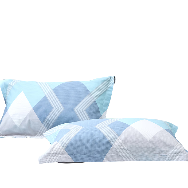 艾薇（AVIVI）全棉枕套 学生宿舍枕头套单人枕芯套 一个装 巴德尔 48*74cm
