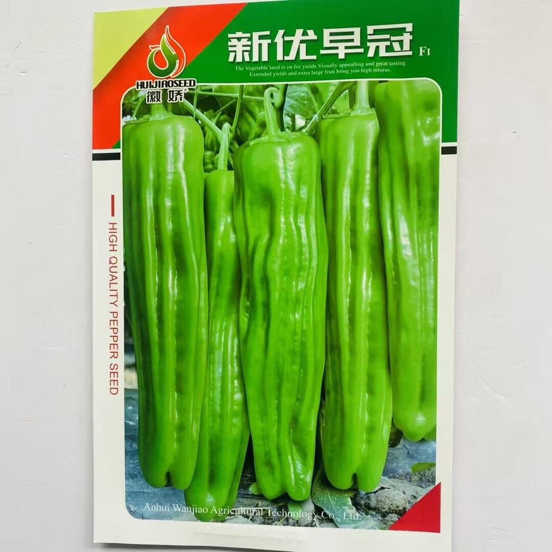 新优早冠辣椒种子早熟灯笼椒种子薄皮高产青椒种子大果型泡椒种子