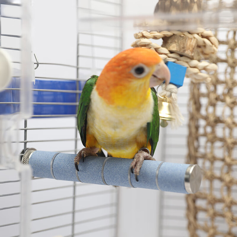 高能鹦鹉鹦鹉磨爪棒磨嘴棒鸟站杆不锈钢材质鸟笼配件用品 2.