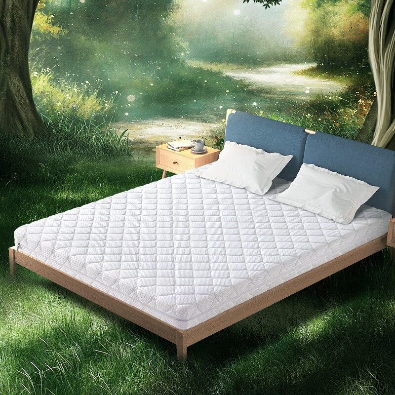 哪里能看到京东植物其它纤维床垫准确历史价格|植物其它纤维床垫价格走势图