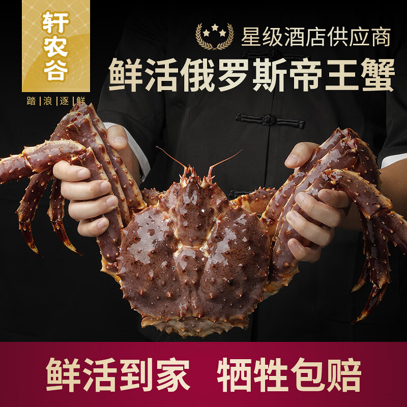 【活鲜】帝王蟹鲜活海鲜帝皇蟹鲜活螃蟹可同城闪送皇帝蟹活蟹帝 【3.5-3.9斤】鲜活发货 新鲜到家