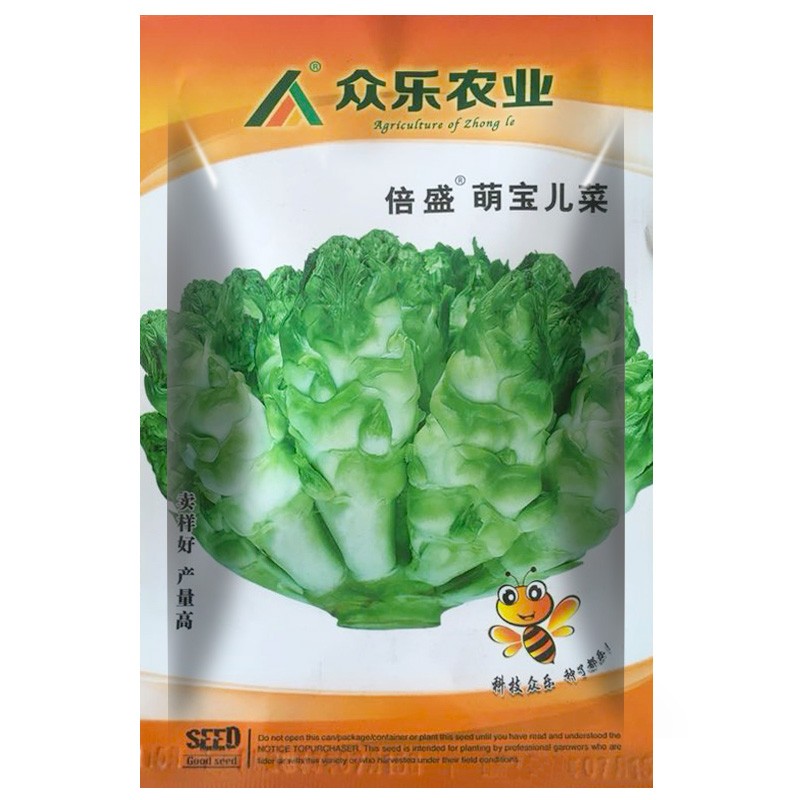 种菜记儿菜种子四川特产抱子芥菜早熟庭院特色蔬菜种籽 萌宝儿菜10克