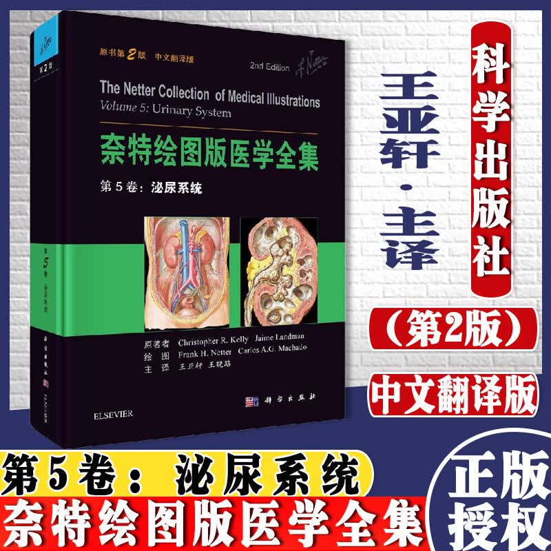 奈特绘图版医学全集 第5卷：泌尿系统（原书第2版）Y 书籍