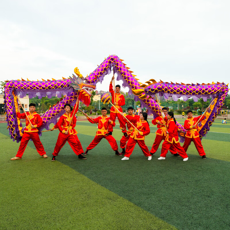 迈恻亦舞龙道具耍龙灯整套九节烫金灯光龙儿童舞龙舞狮布龙龙头服装 9