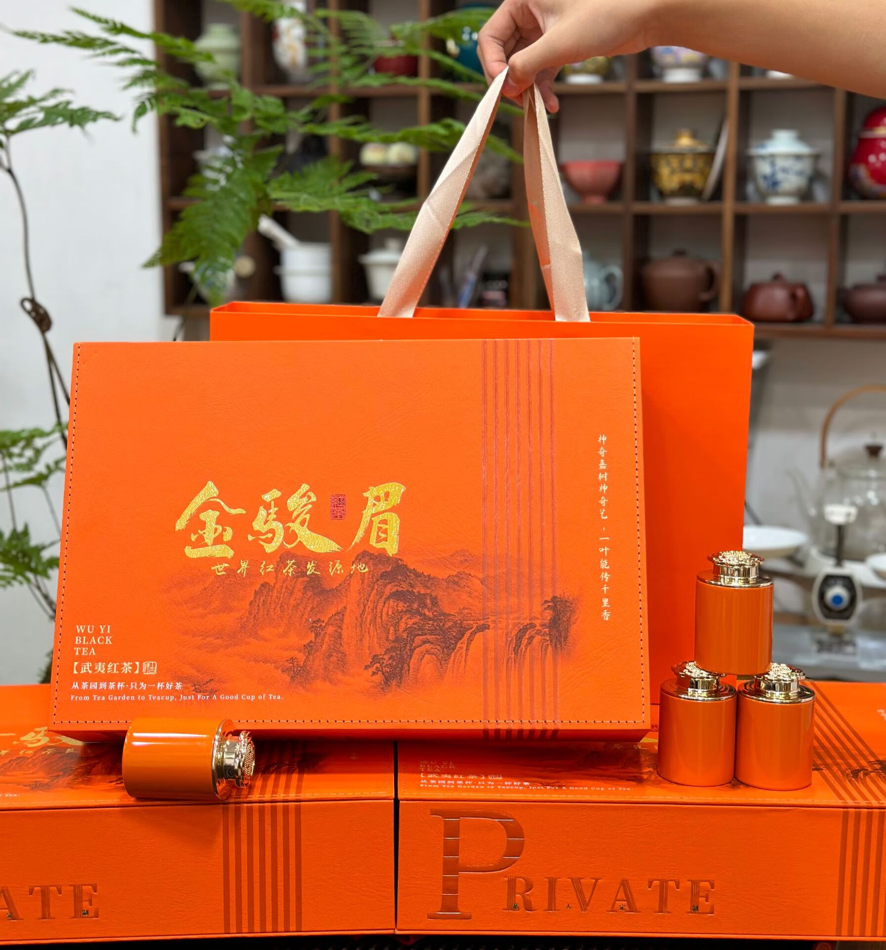 武夷山红茶桐木金骏眉茶叶礼盒装正山小种一级金俊眉礼盒装250g 新品