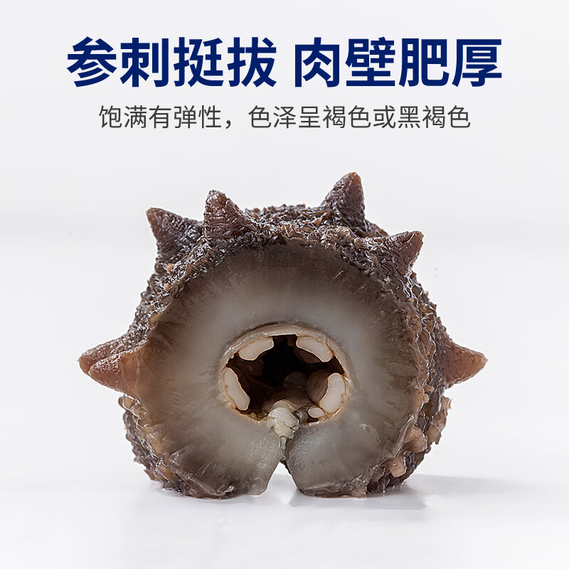 方家铺子即食海参1500g 固形物85%以上 18-24只辽刺参过节送礼礼盒