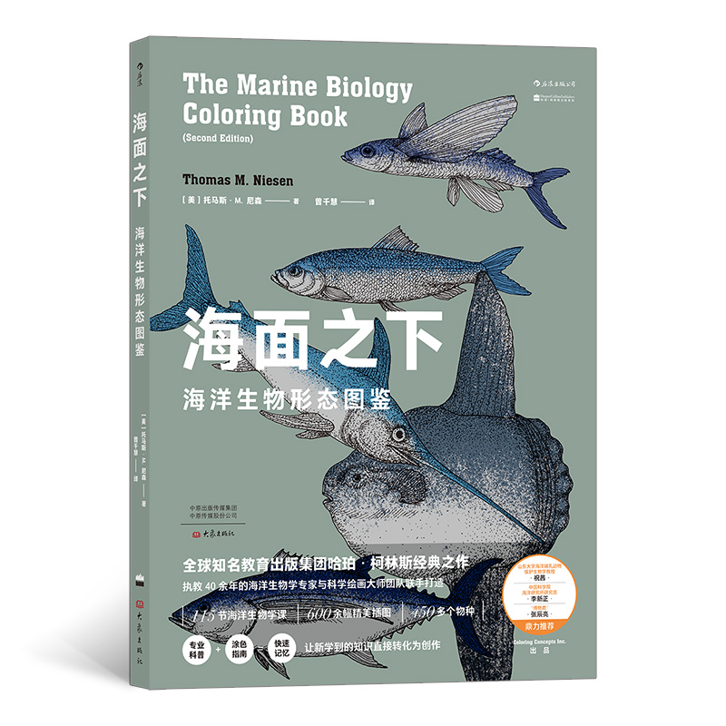 海面之下：海洋生物形态图鉴（一本可以涂色的海洋科普书）