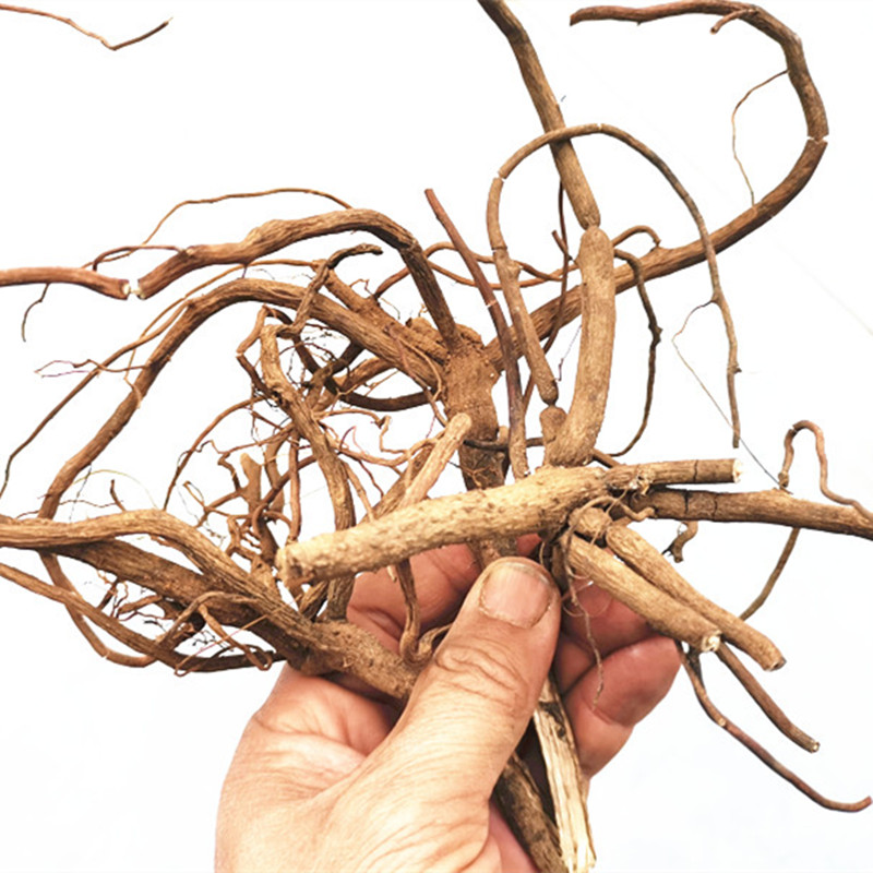 北京同仁堂原料 野生开喉剑 中药材八爪金龙根百两金八爪根铁雨伞开喉