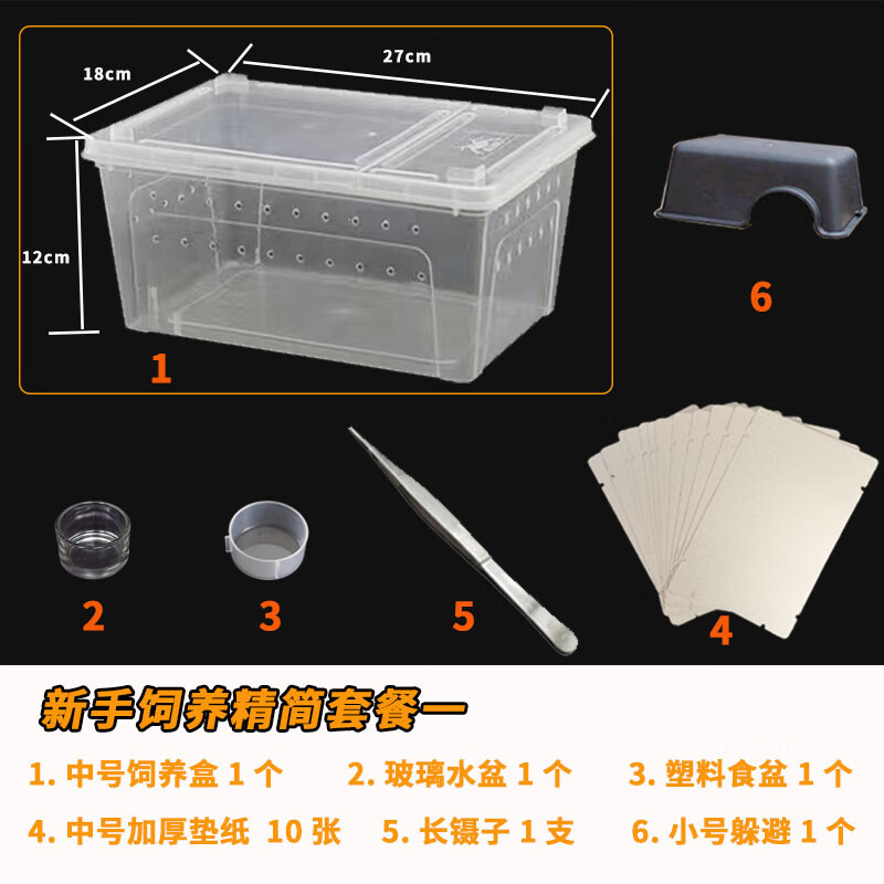 桐汝壁爬寵飼養(yǎng)套餐守宮豹紋R屬寵物蛇新手喂養(yǎng)套餐飼養(yǎng)盒用品 新手飼養(yǎng)套餐一