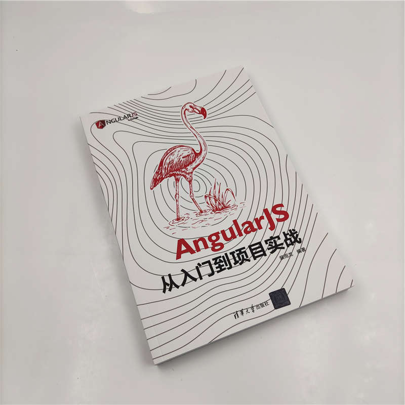 AngularJS从入门到项目实战详情图