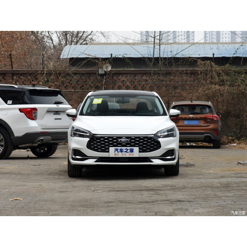 卡迪通福特福睿斯福克斯中网防虫网防柳絮网新蒙迪欧锐界水箱防虫网