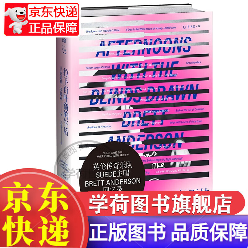 拉下百叶窗的午后：英伦传奇乐队Suede山羊皮主唱布雷特·安德森回忆录 正版