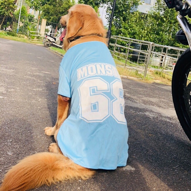 衣宠物背心防脏 透气速干运动t恤(蓝)-偏小 3xl-胸围73cm建议26-40斤