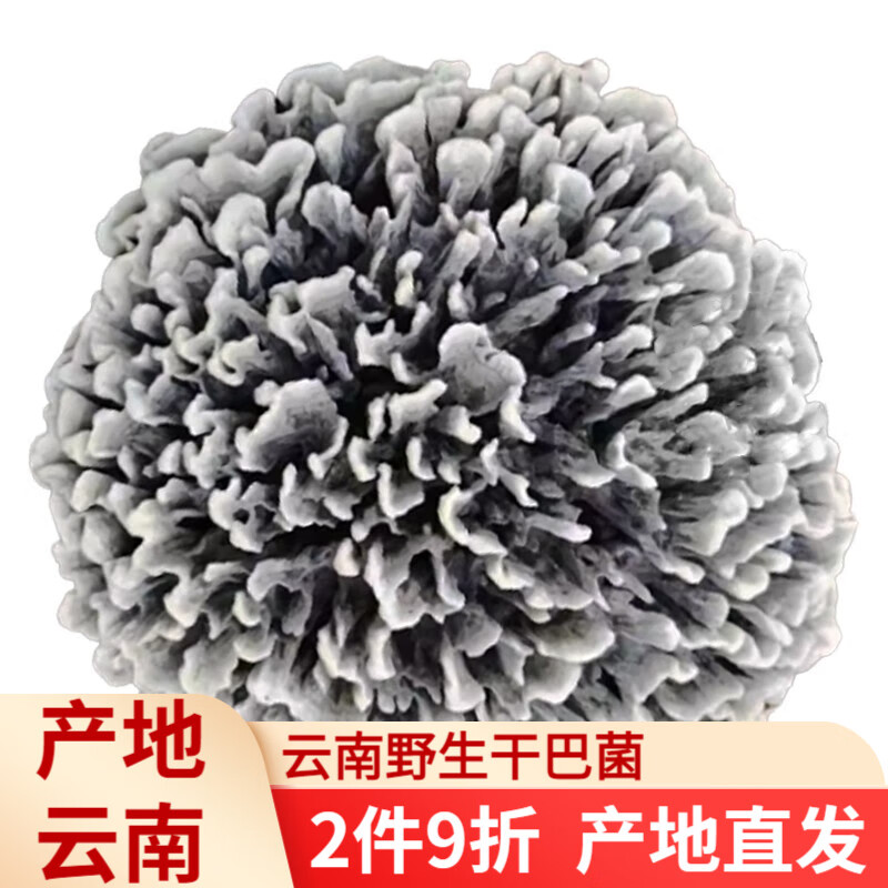 干巴菌280g 云南瓶装酱菜下饭菜云彩菌对花菌top9 热销指数 10价格