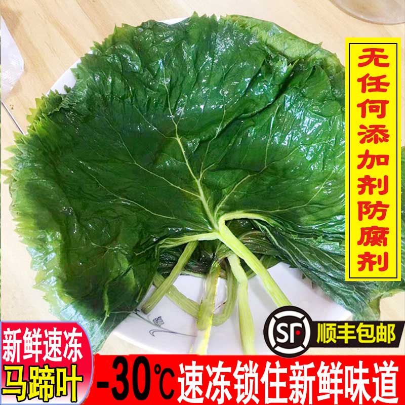 教蔬鲜生顺丰野生速冻新鲜马蹄叶东北特产山野菜大叶子朝鲜族包饭菜