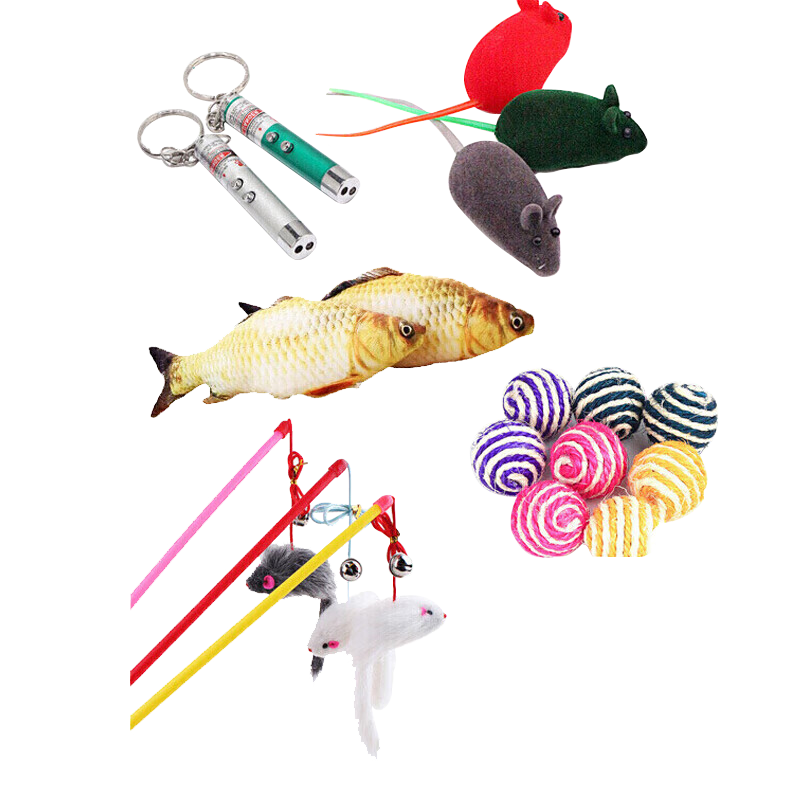 ���ڲ��������ն�è�����èץ�塾è���6���ס���è�������������ɽ��鶺è��