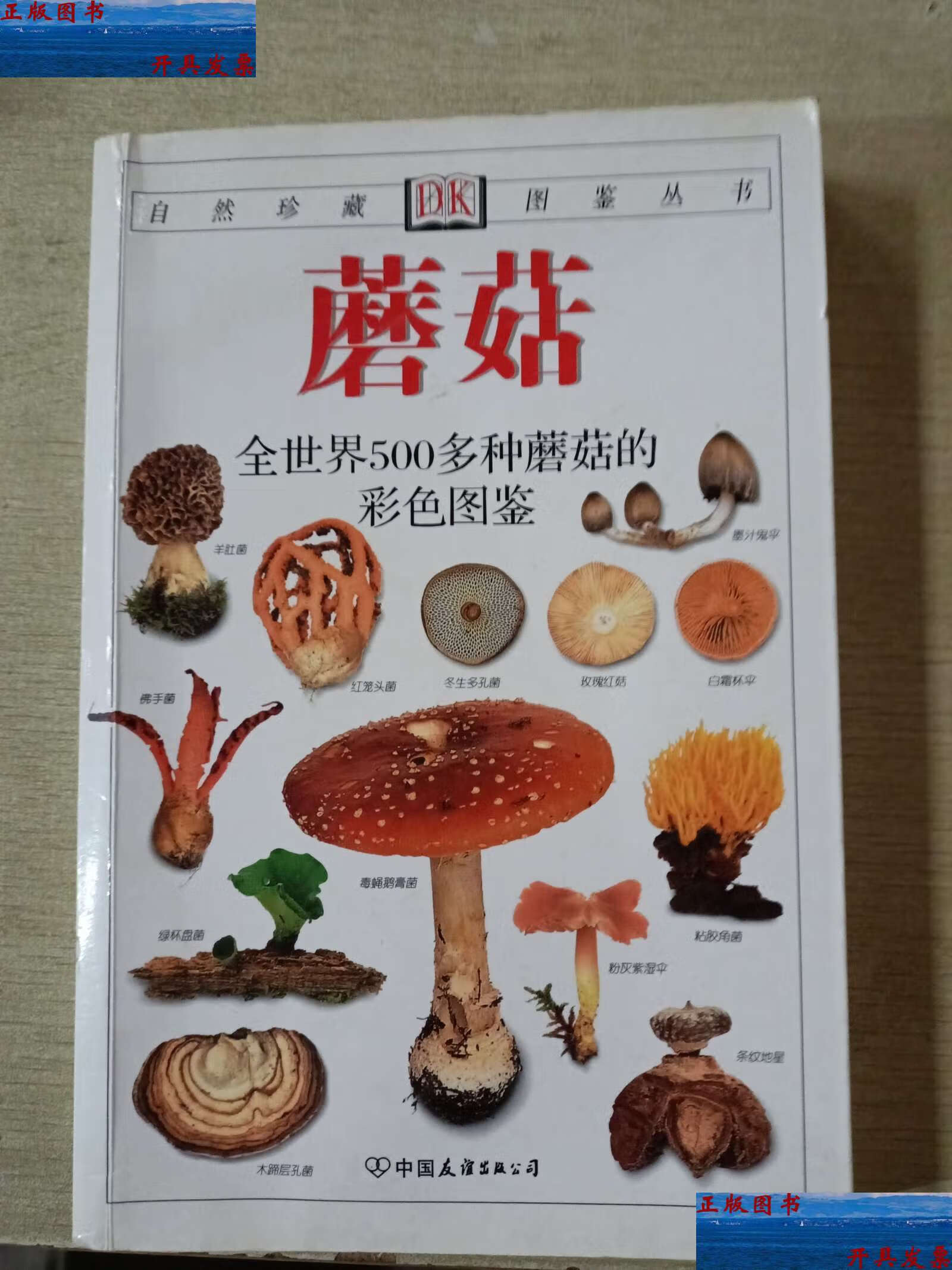 【二手9成新】蘑菇:全世界500多种蘑菇的彩色图鉴 /莱瑟斯 中国友谊公