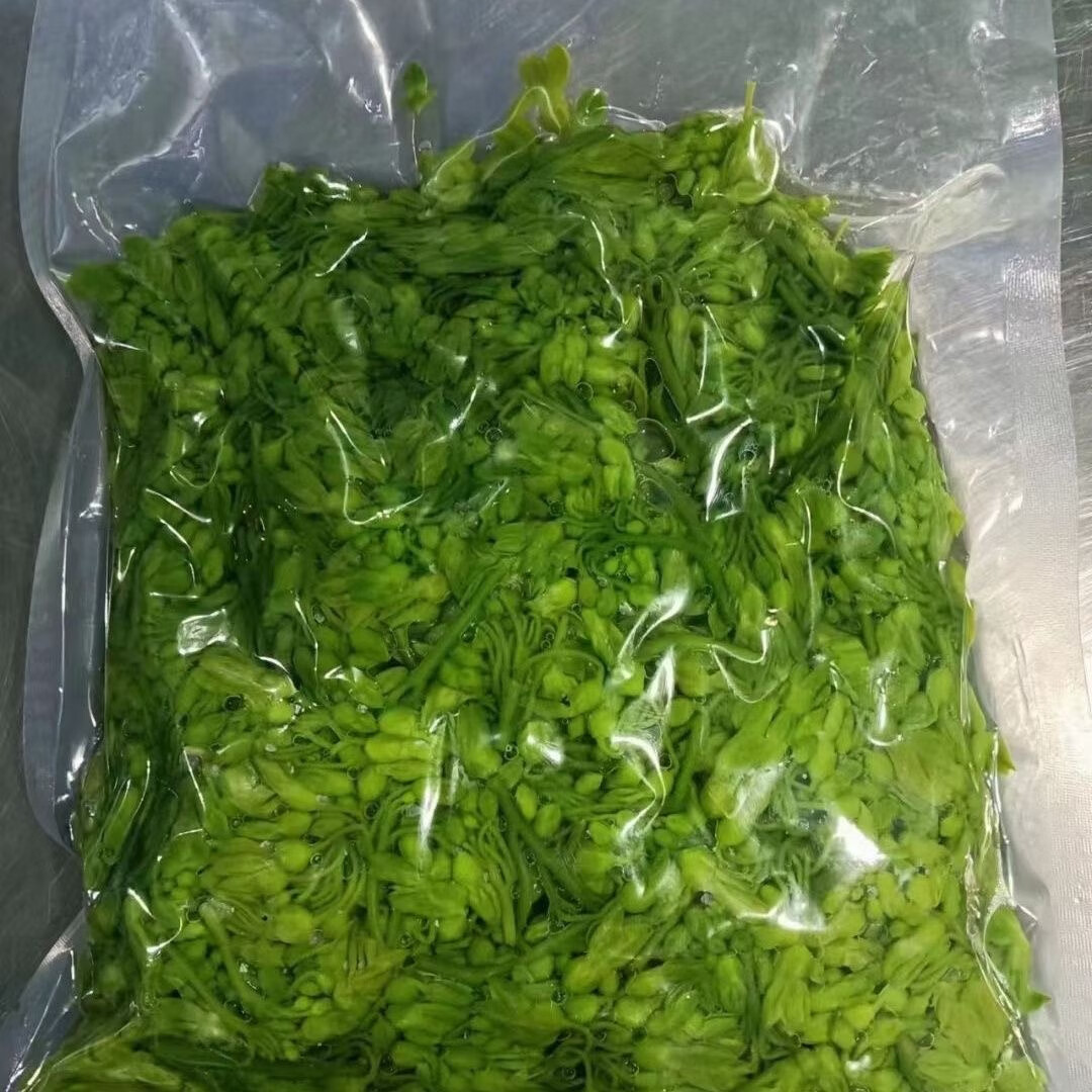 夜香花3斤食用藤本种苗清香嫩芽当季新鲜采摘花蕾特色菜野菜花苞 花蕾