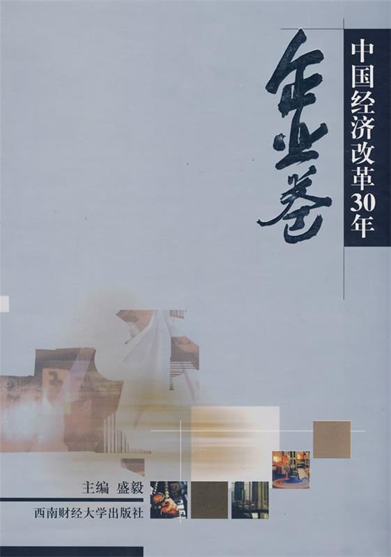 中国经济改革30年:企业卷