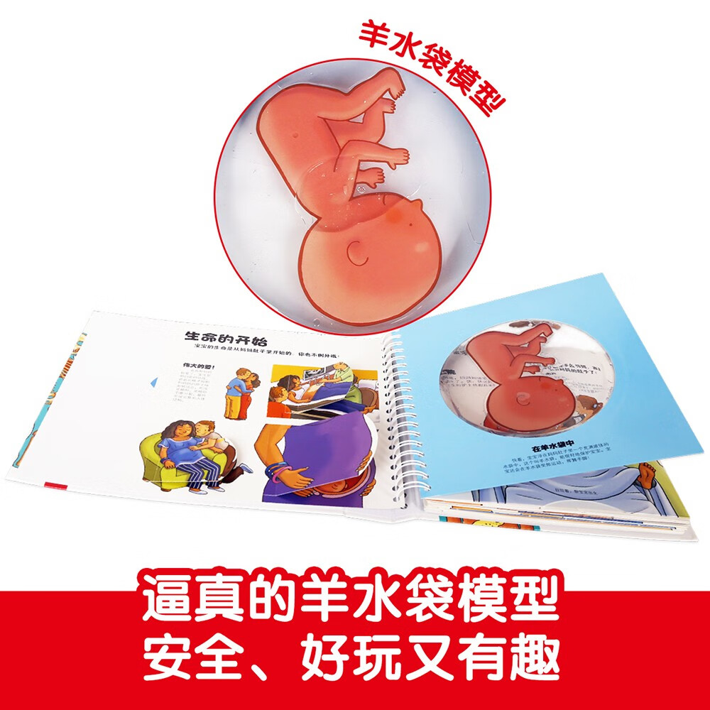我们的身体/太空/交通工具/动物王国（套装4册）羊水袋书3-6岁少儿科普立体书 低幼认知绘本翻翻书暑假阅读暑假课外书课外暑假自主阅读暑期假期读物详情图